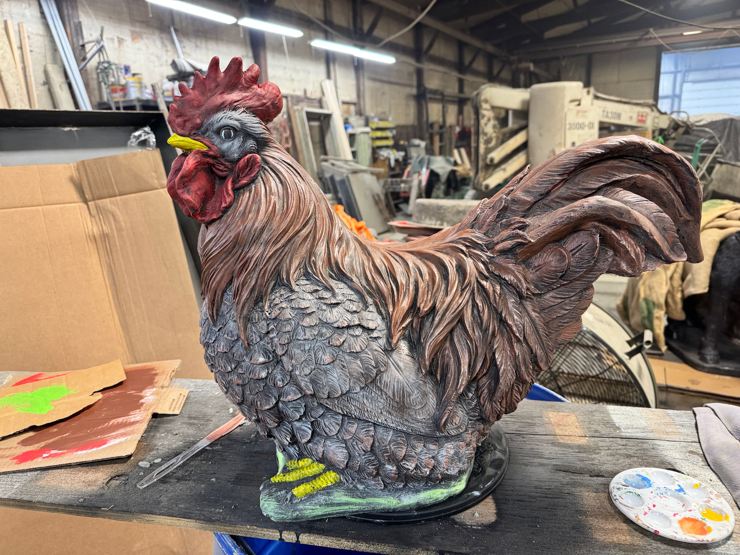 Chickens - Huge Rooster