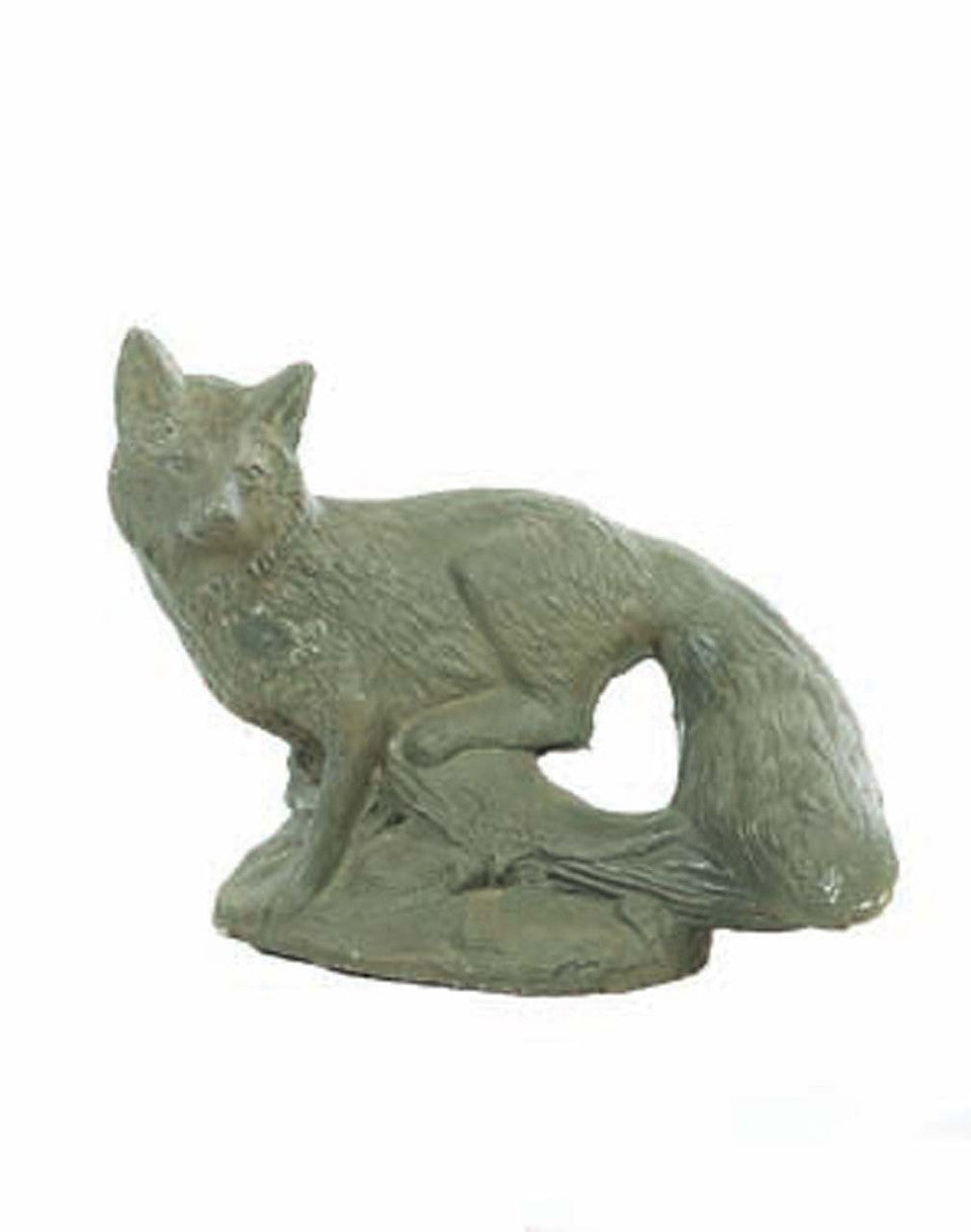 Fox on Limb