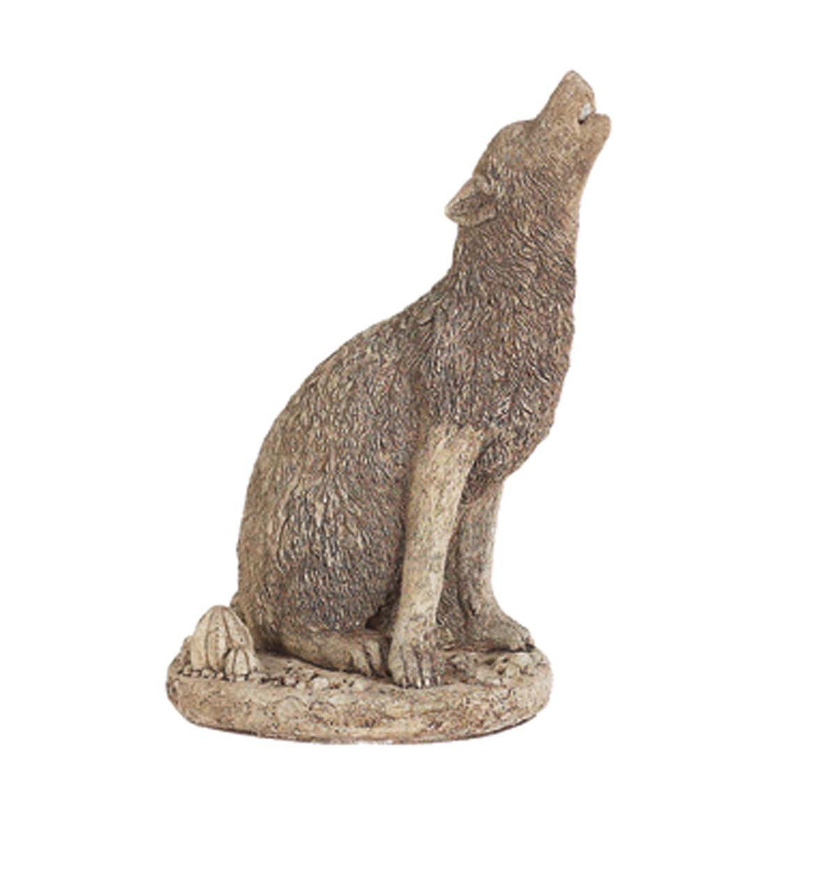 Coyote- Howling