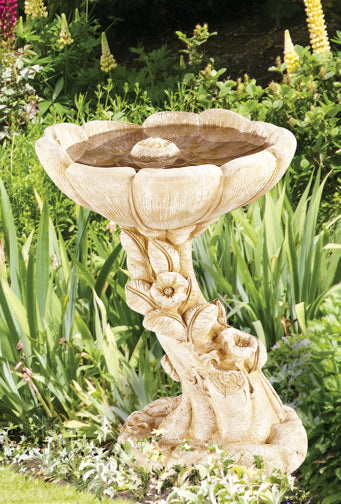 Buttercup Bird Bath