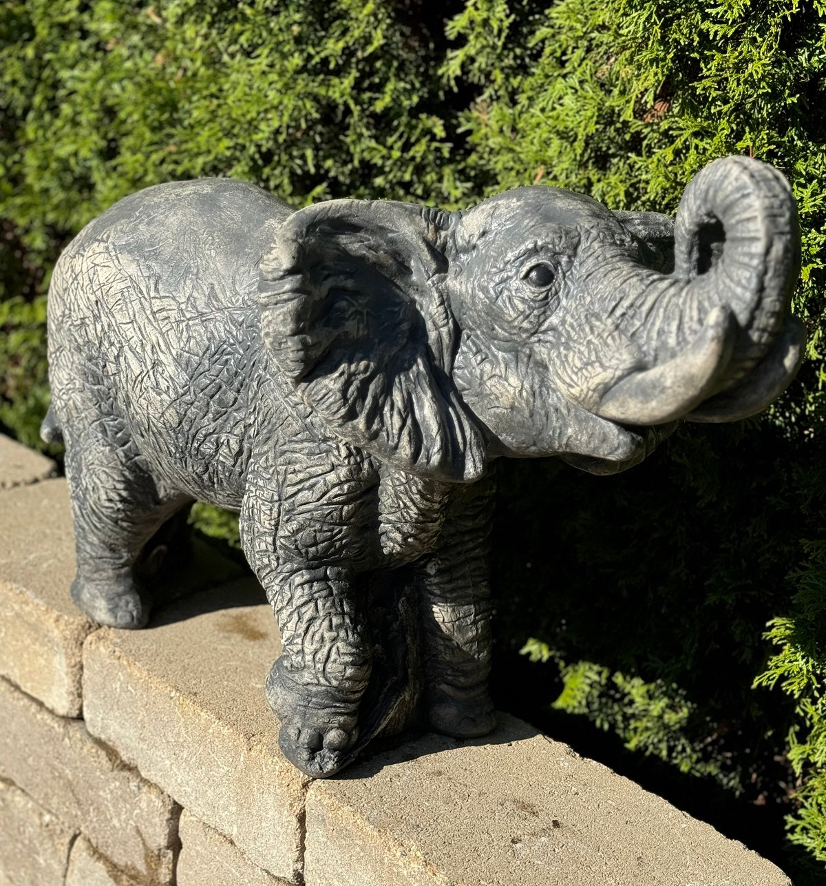 Elephant - Ellie