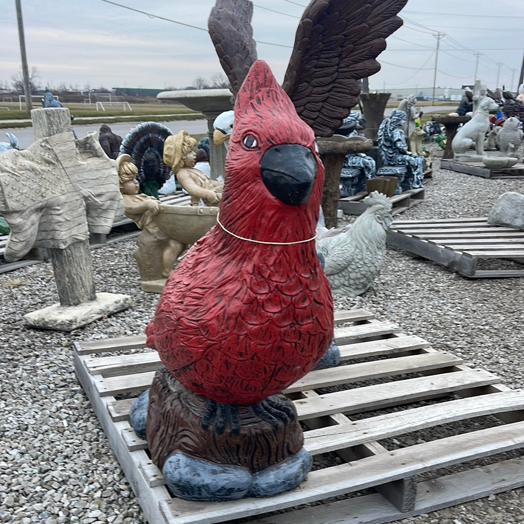 Bird - Cardinal Huge
