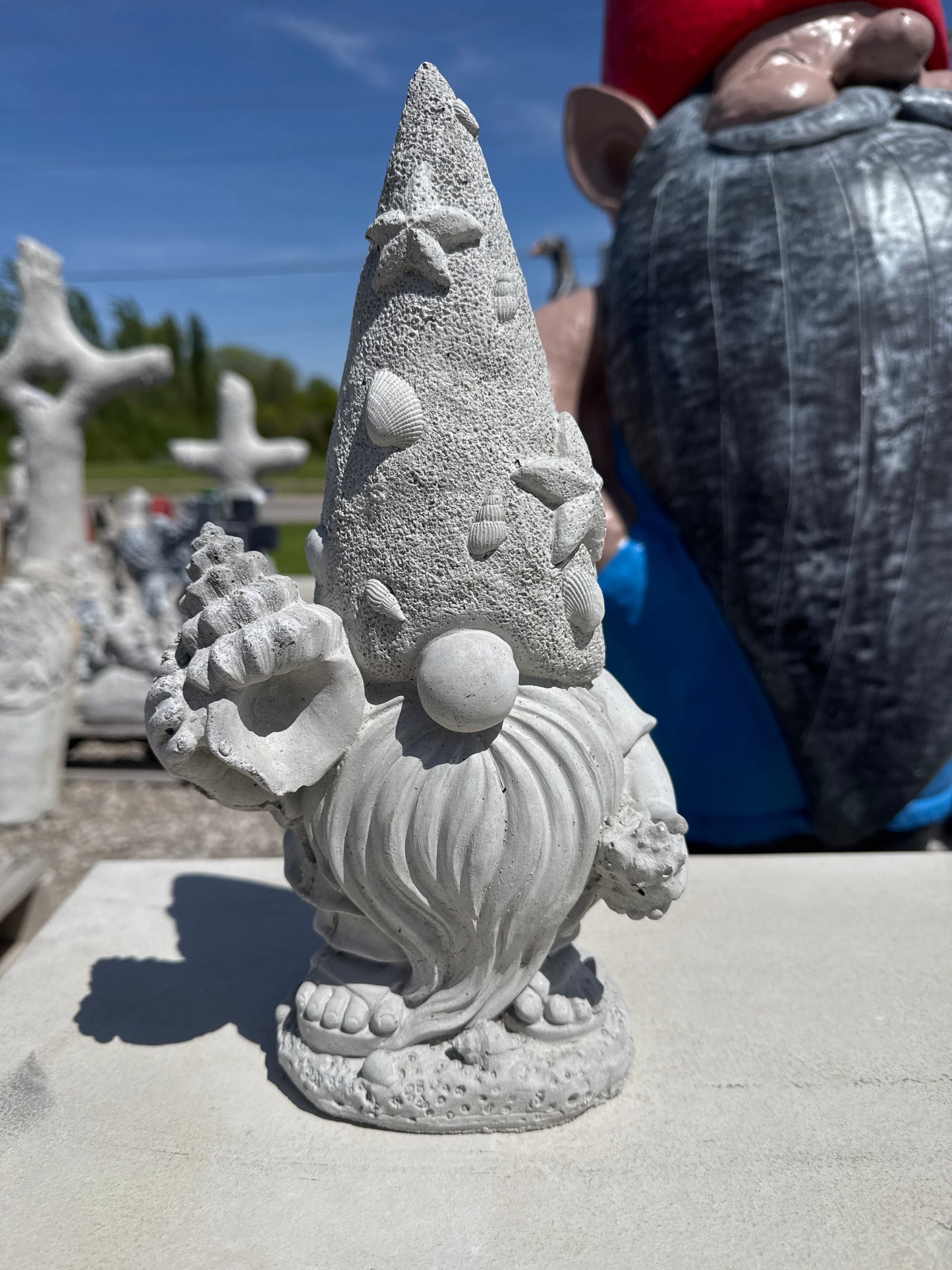 Gnome with shells 12" tall
