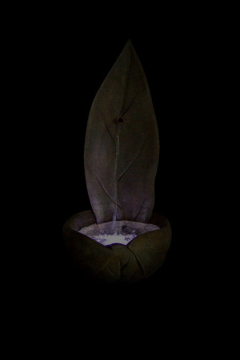 Standing Leaf Fountain