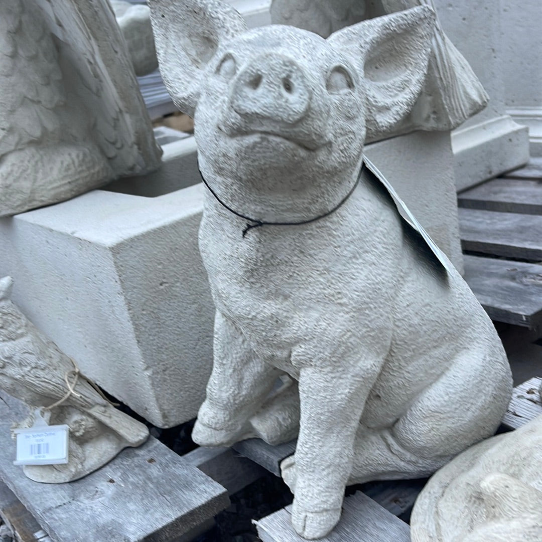 Pig - Perky