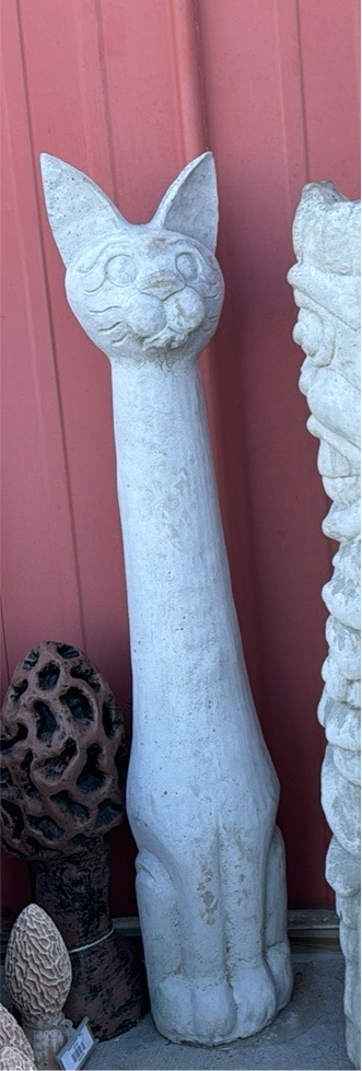 Cat - Small Pole Cat