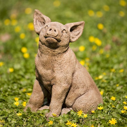 Pig - Perky