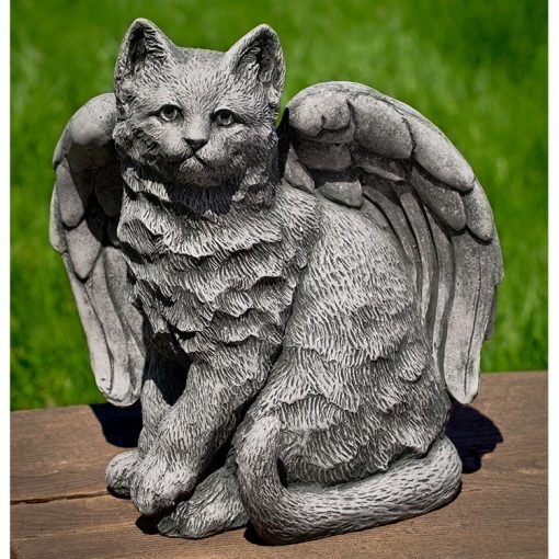 Cat - Angel Kitty