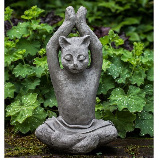 Cat - Zen Cat