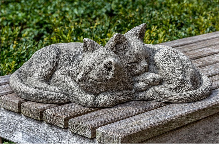 Cat - Nap Time Kittens
