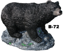 Bear - Large bear on Rock