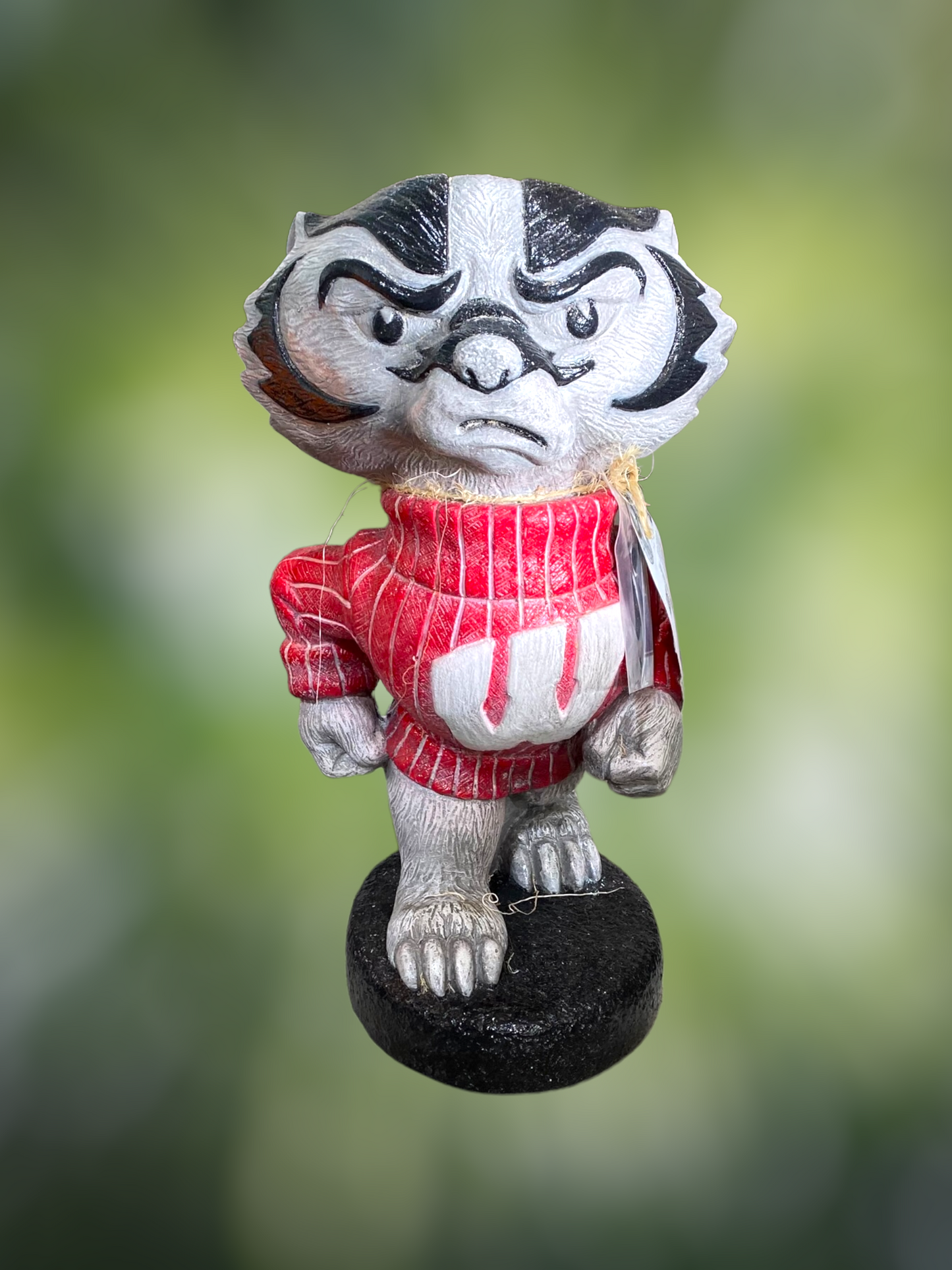 Wisconsin Bucky Badger
