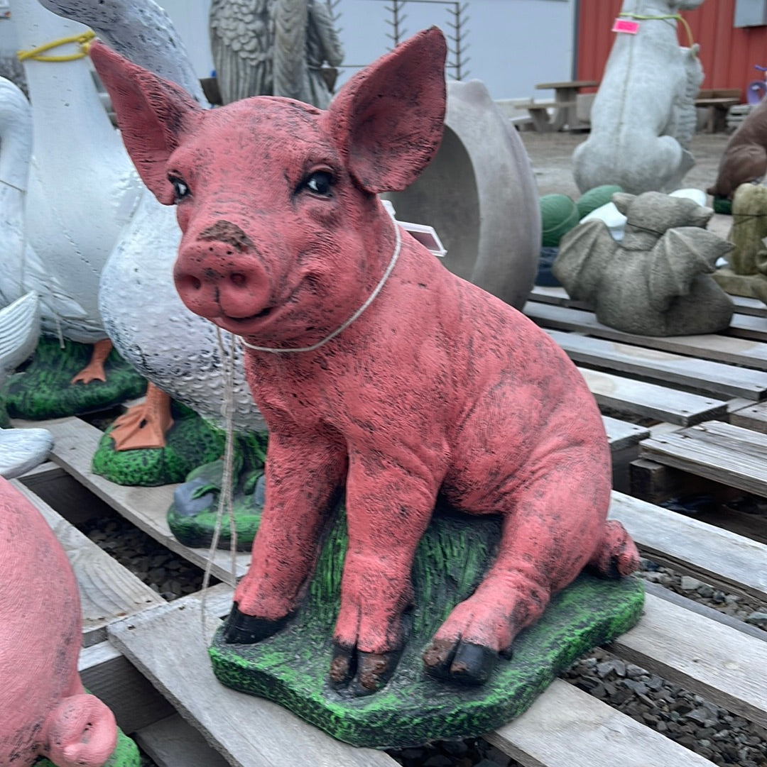 Pig - Sitting Dirty Pig