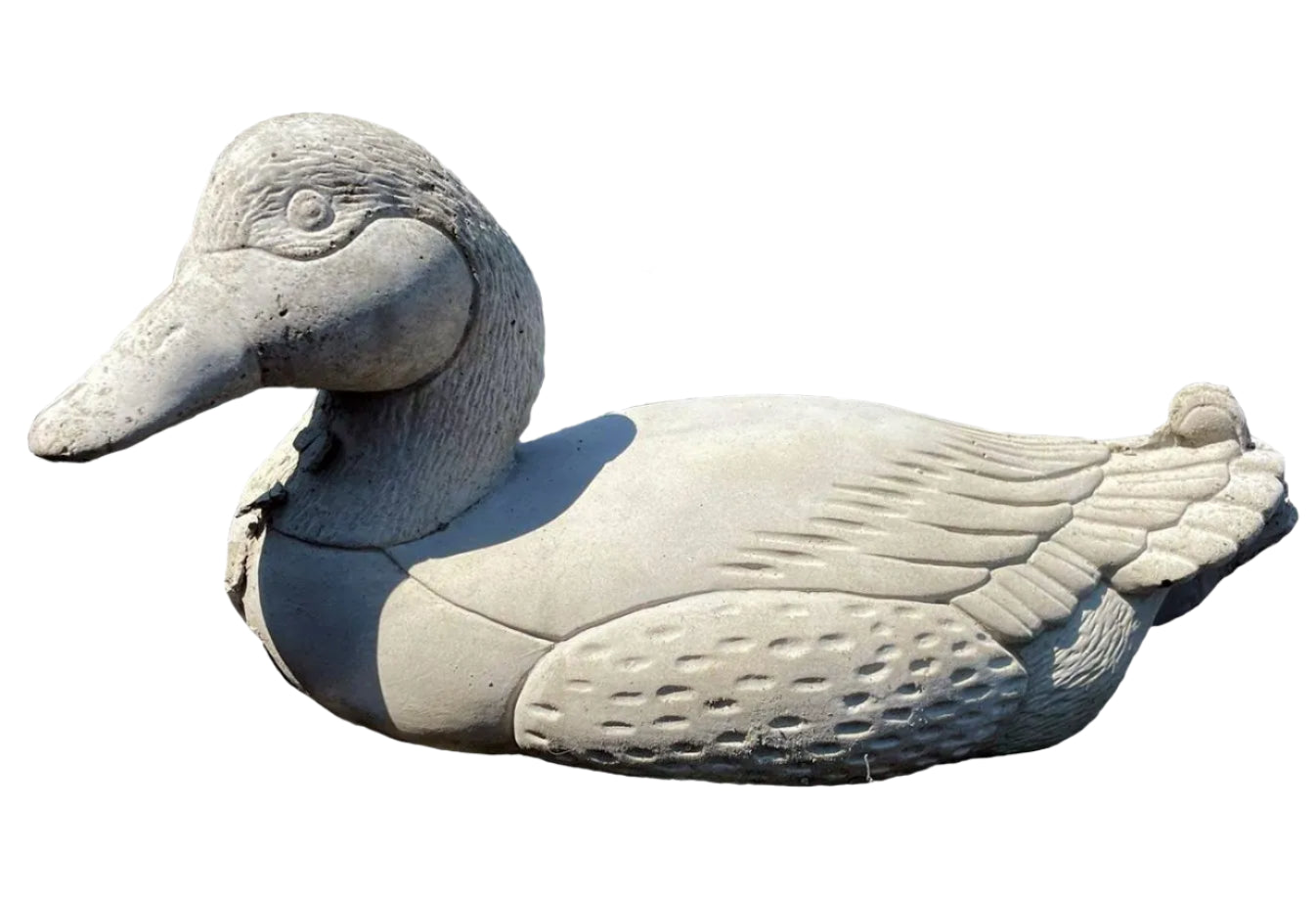 Bird - Duck