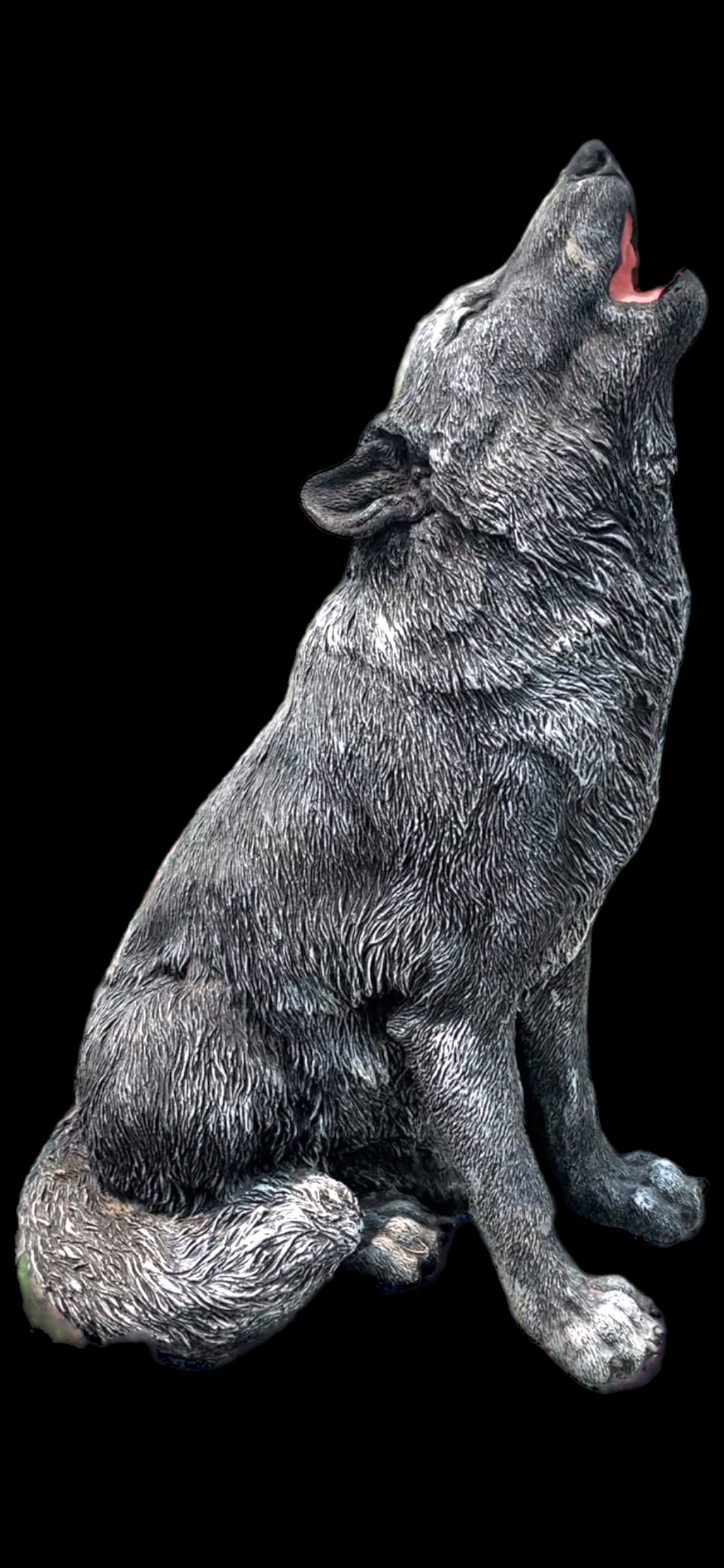 Wolf - Howling