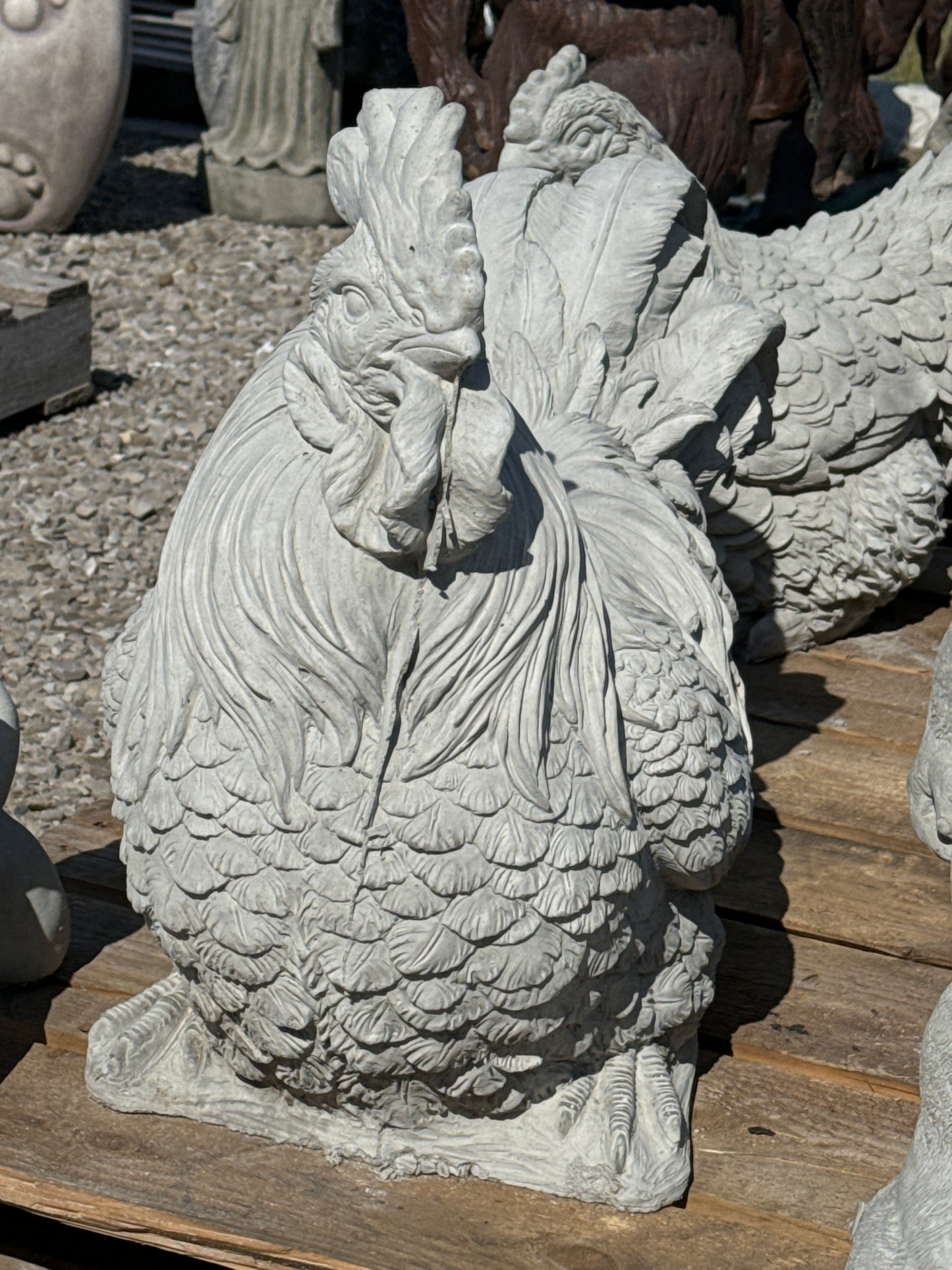 Chicken - Huge Rooster