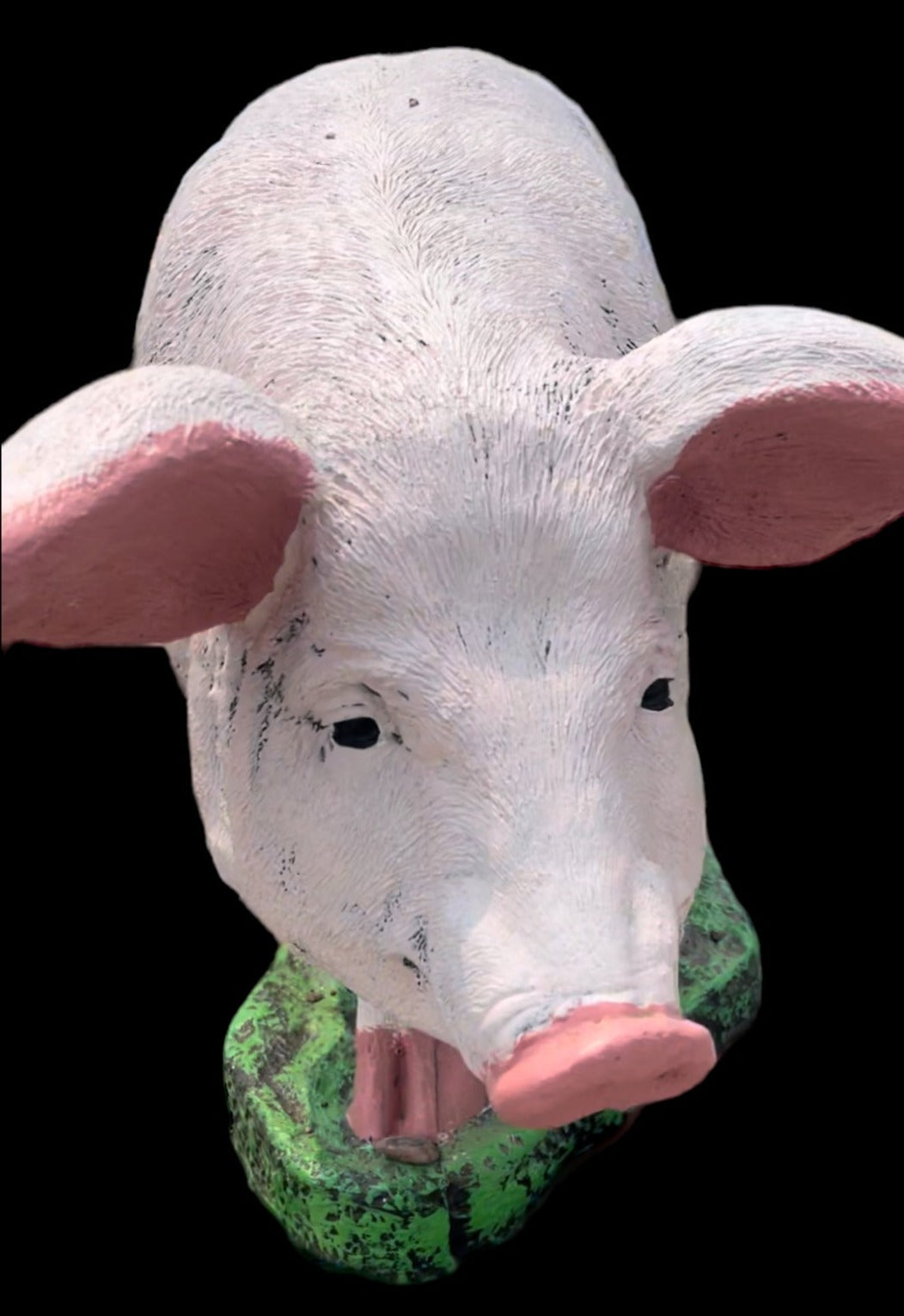 Pig - Standing Real