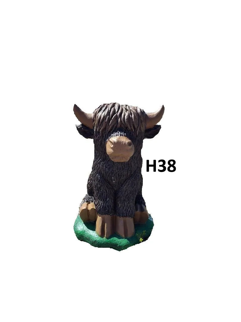 Cow - Highland Sittting