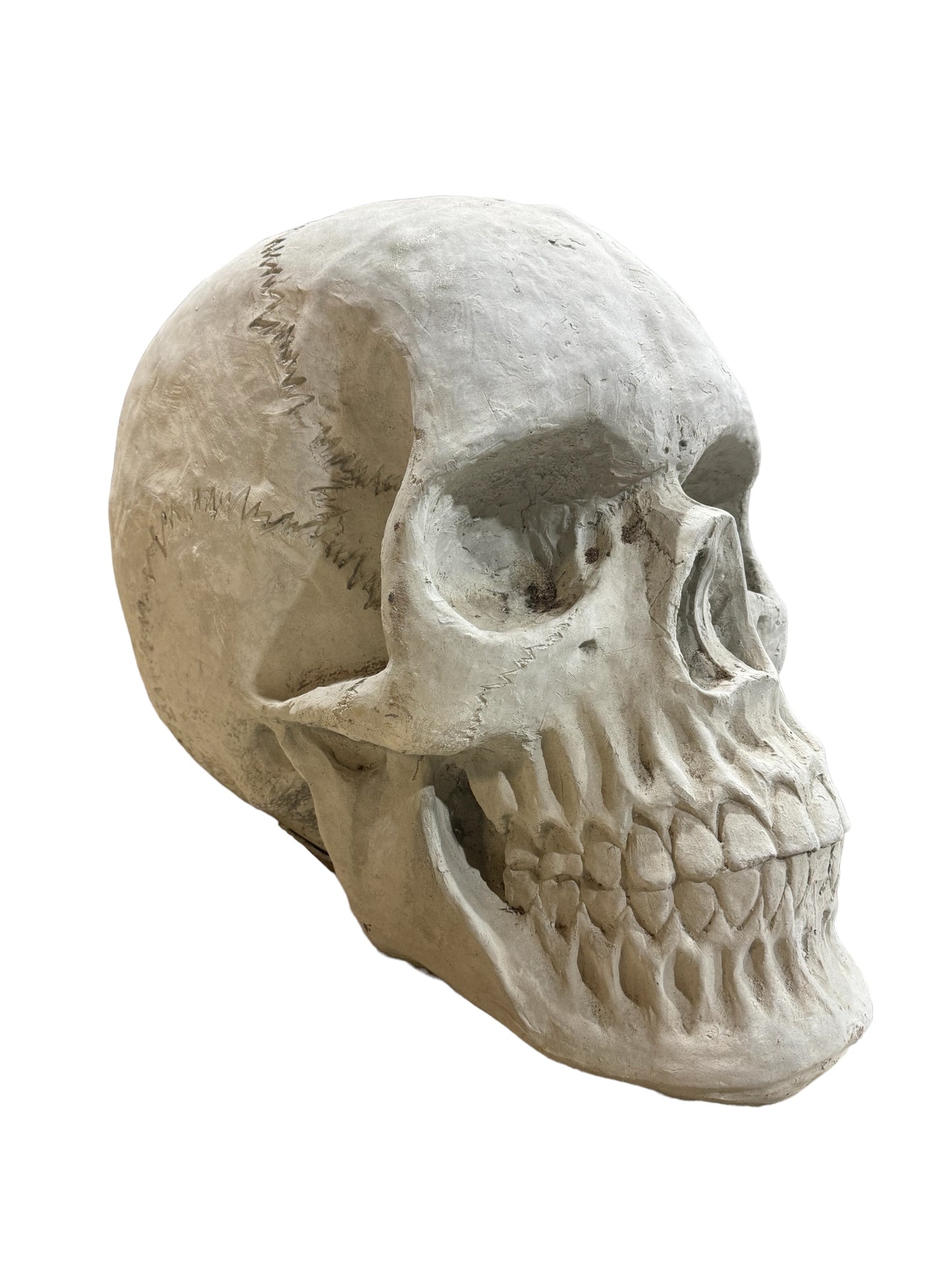 Skull - Huge