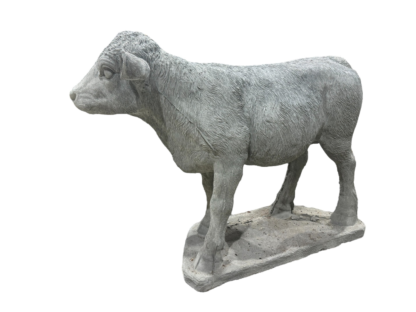 Cow - Large Real Calf