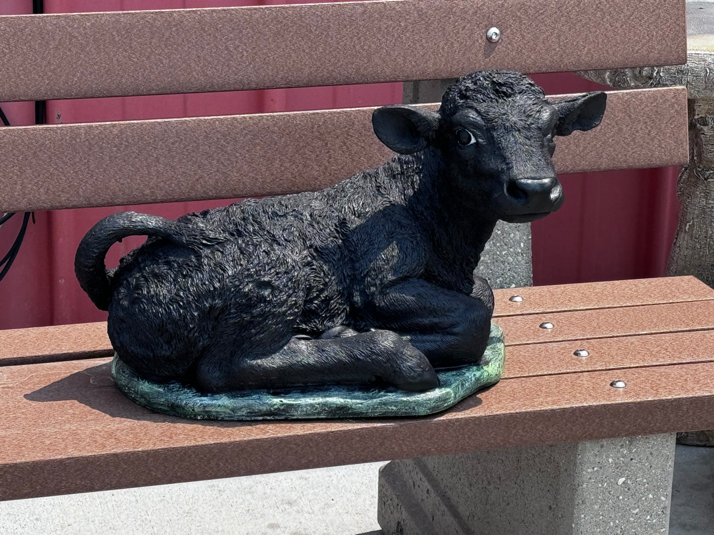 Cow - Laying Detailed Calf