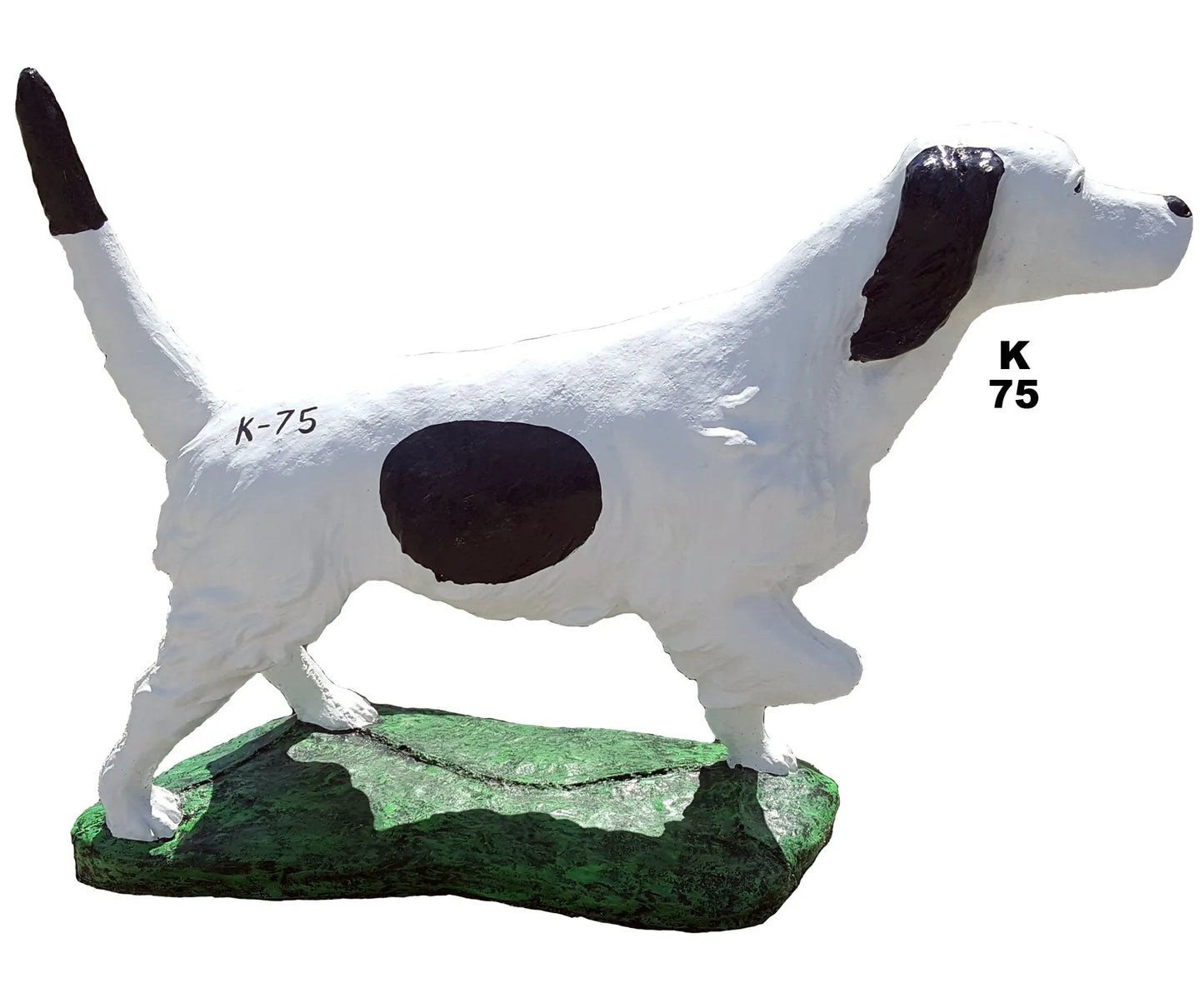 Dog - Pointer