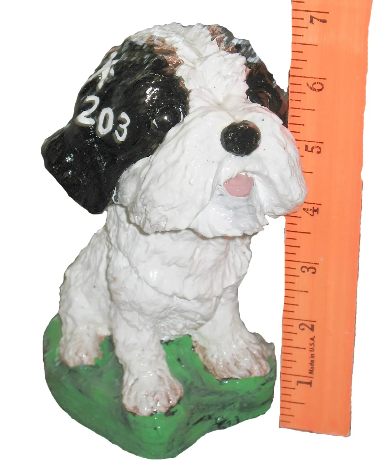 Dog - Bighead Shih Tzu