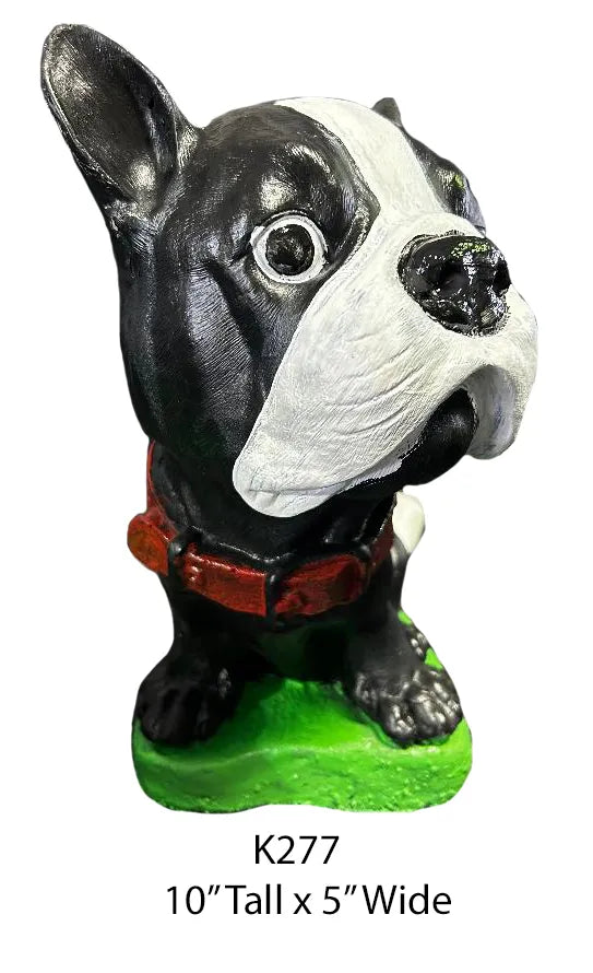 Dog - Bighead French Bulldog