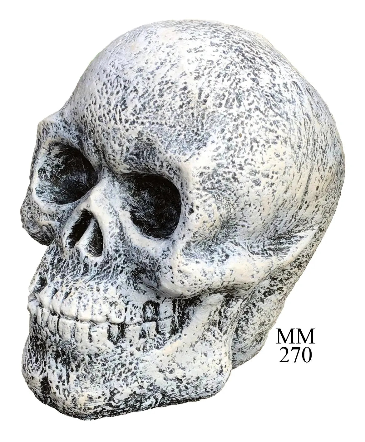 Skull - 14" tall