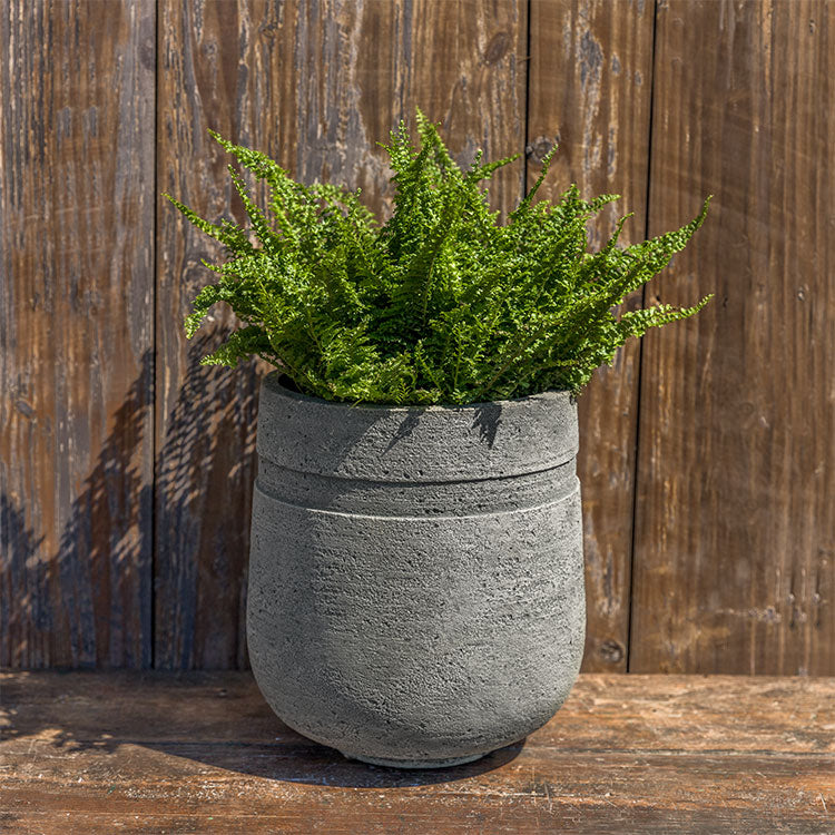 Alisa Planter