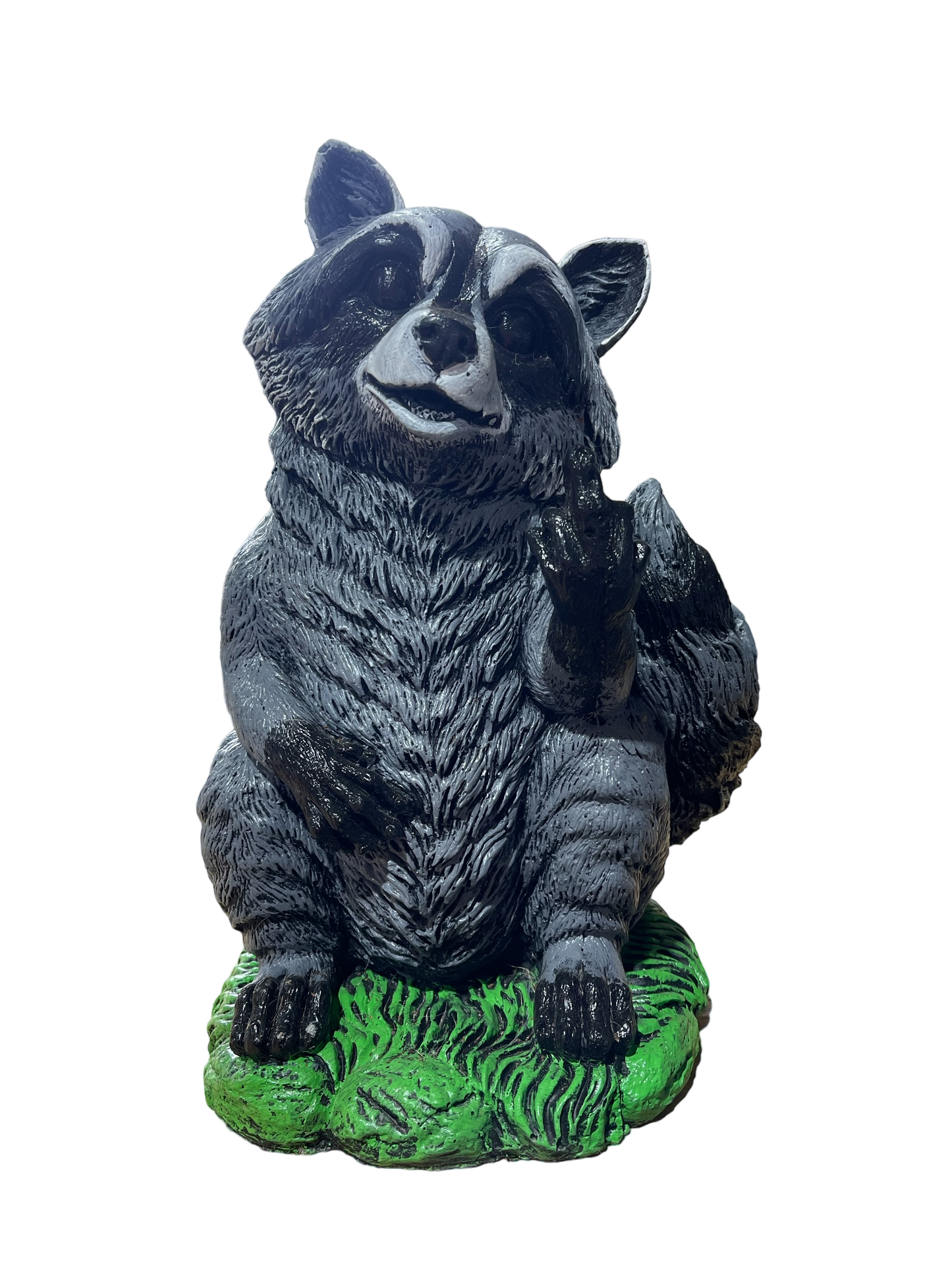 Coon with Finger
