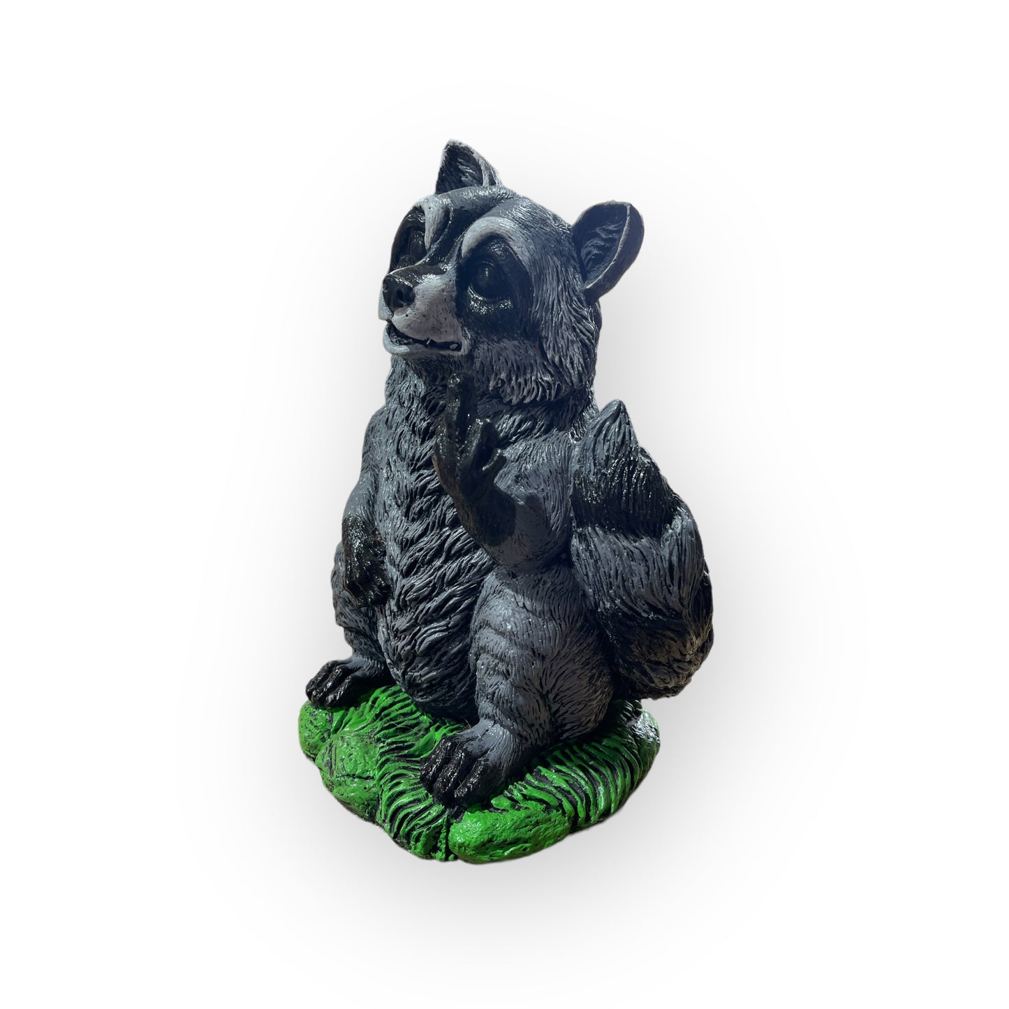 Coon with Finger