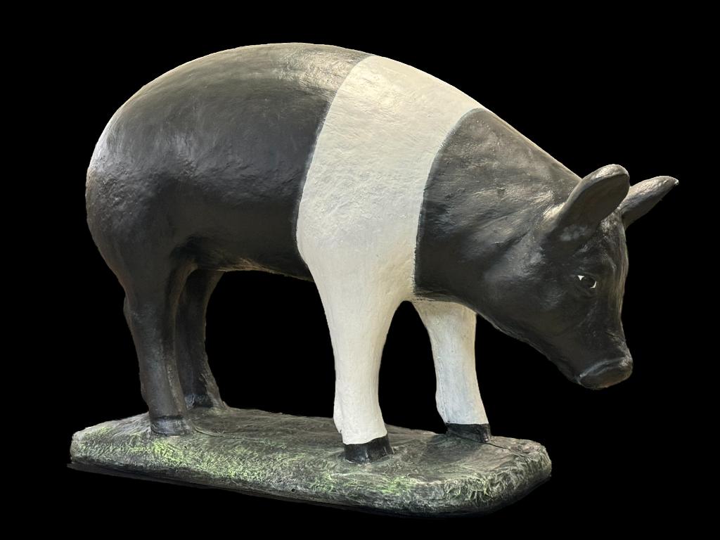 Pig - Jumbo