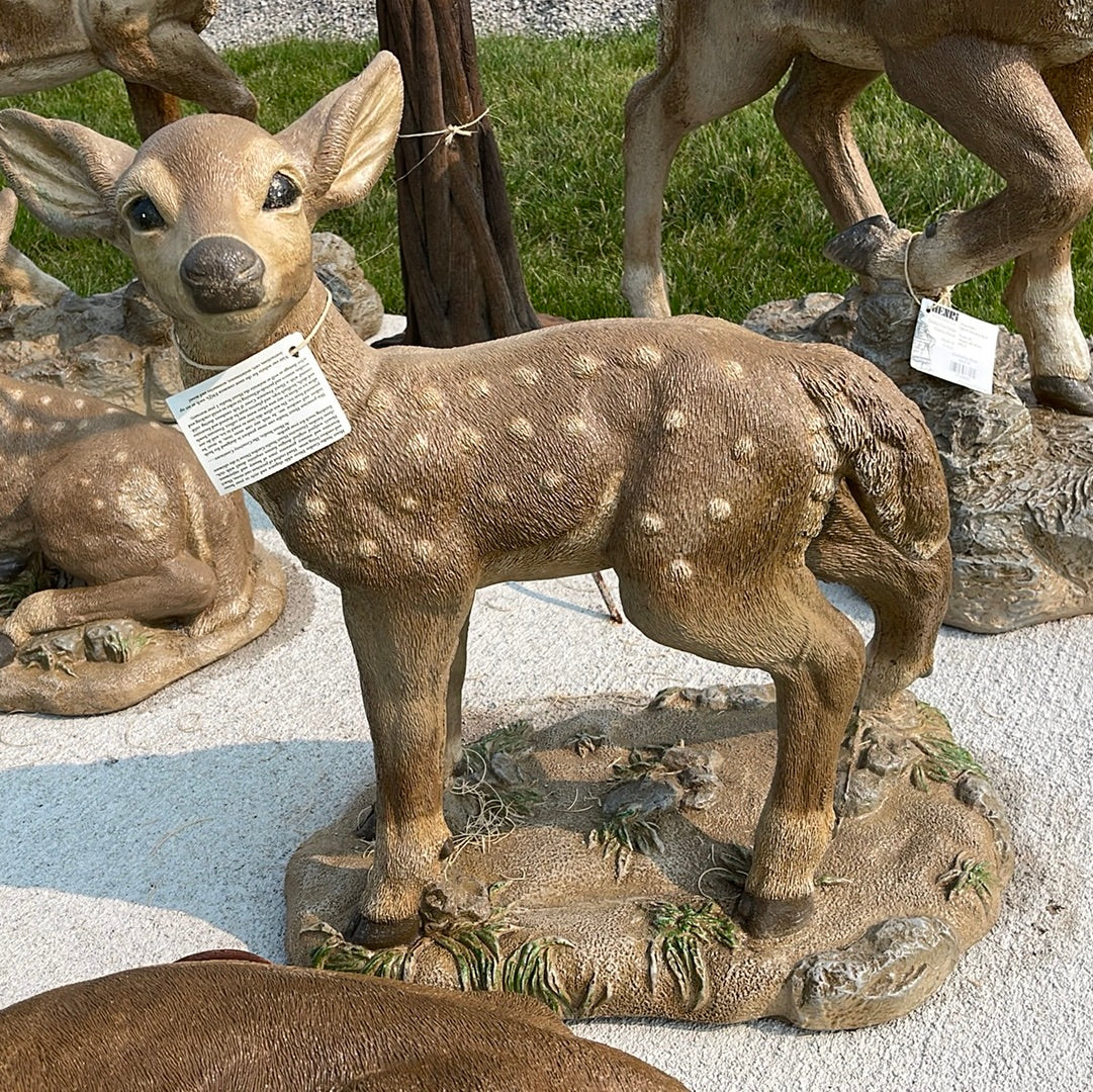 Deer - Standing Fawn