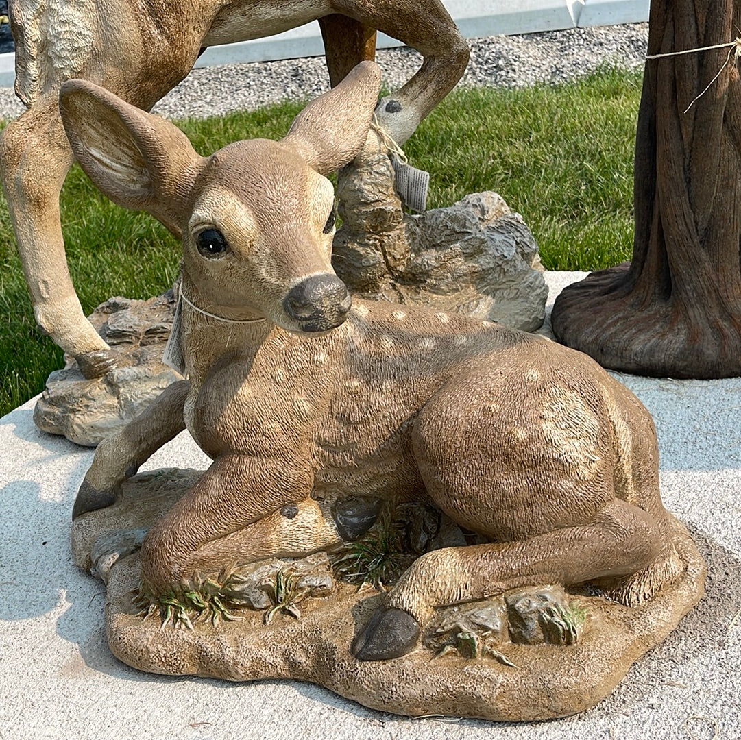 Deer - Fawn Raising on One Leg