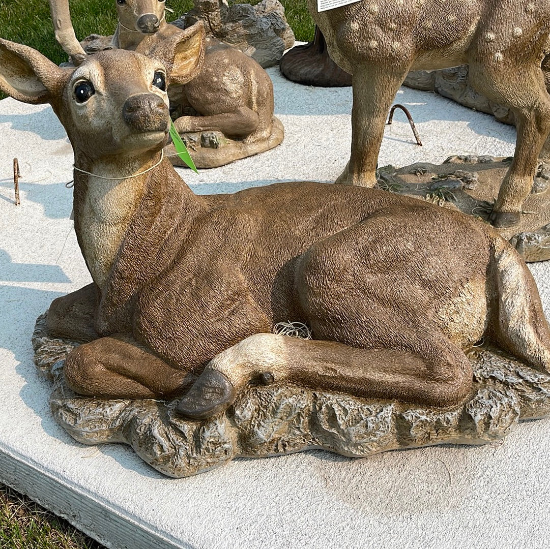 Deer - Reclining Doe