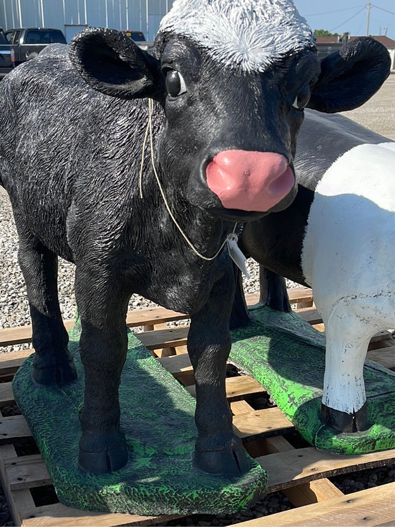 Cow - Large Real Calf