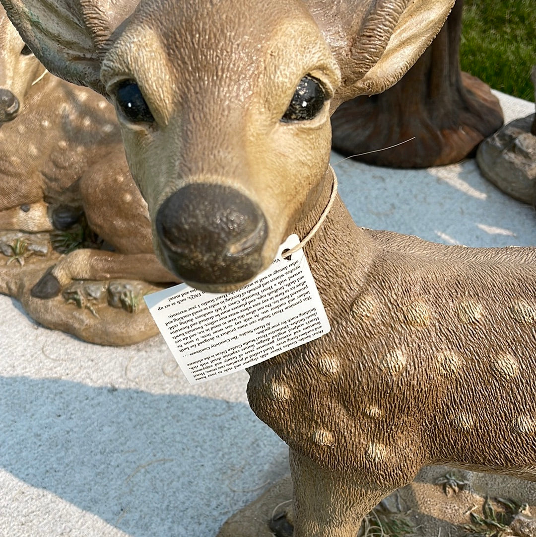 Deer - Standing Fawn