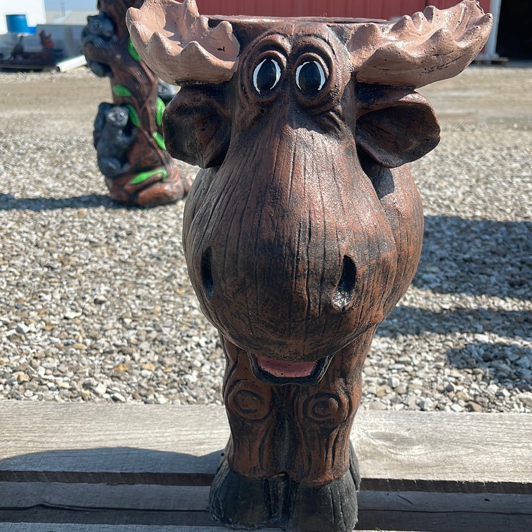 Moose - Wood Looking