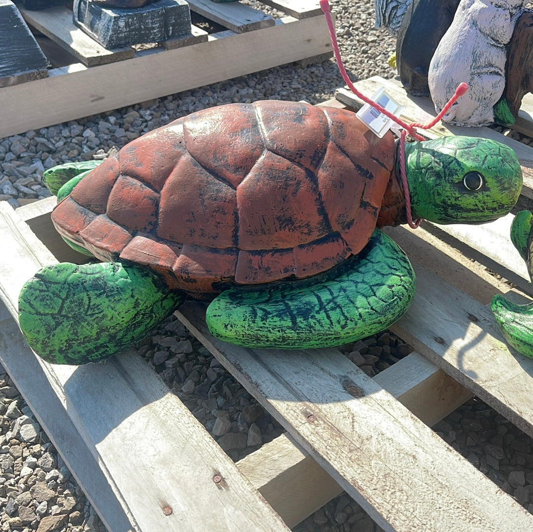 Sea Turtle