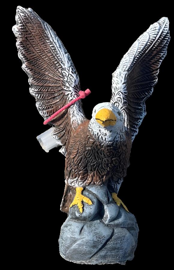 Eagle - Small on Rock
