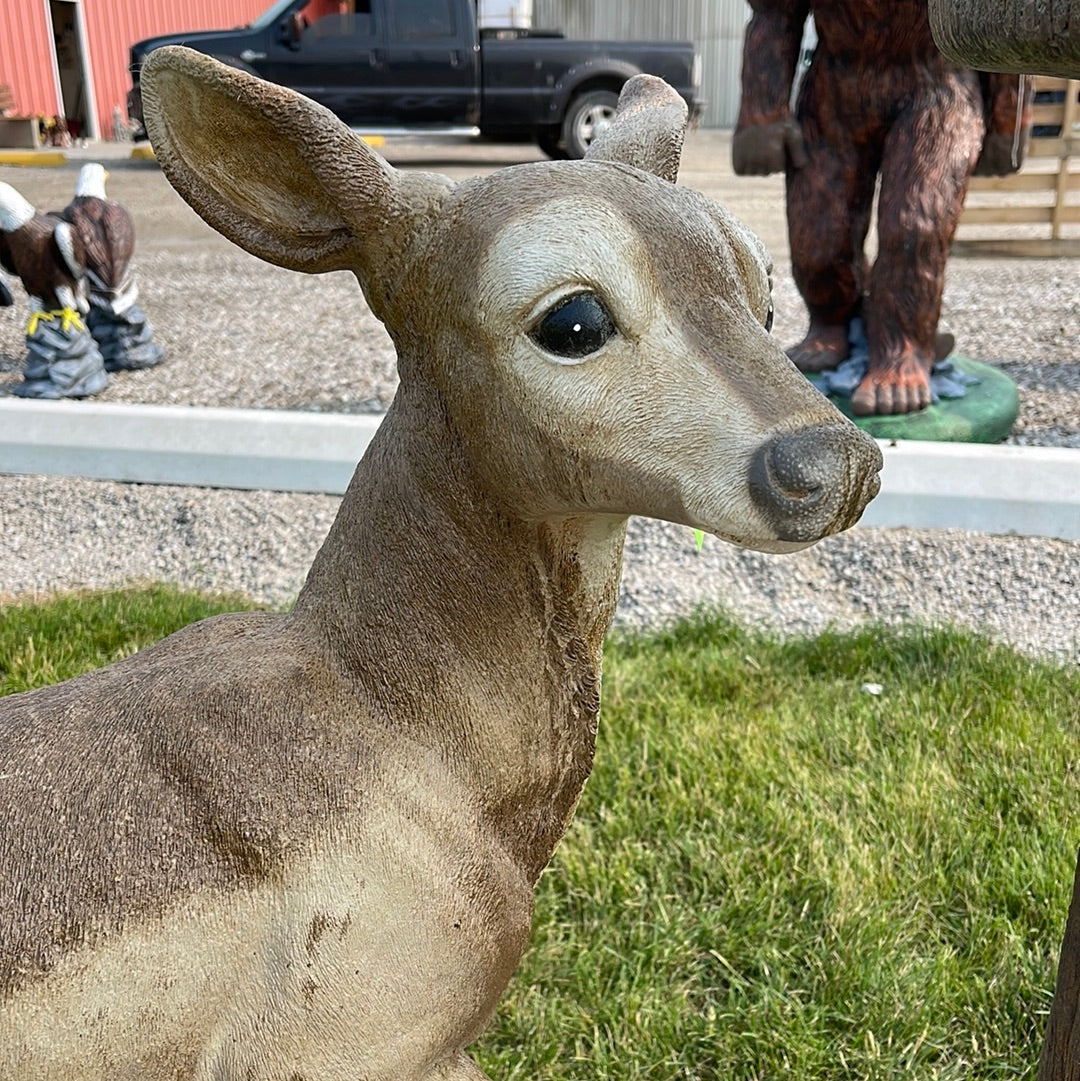 Deer - Standing Doe