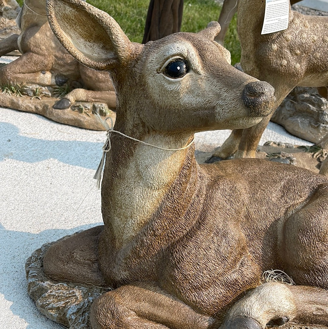 Deer - Reclining Doe