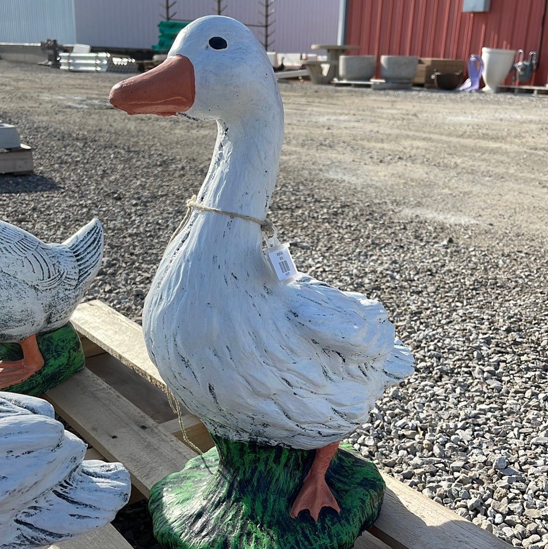 Goose/Duck- 18”