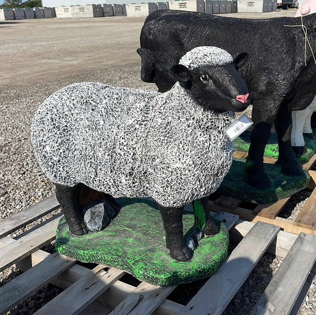 Sheep