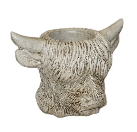 Cow - Highland Head Planter