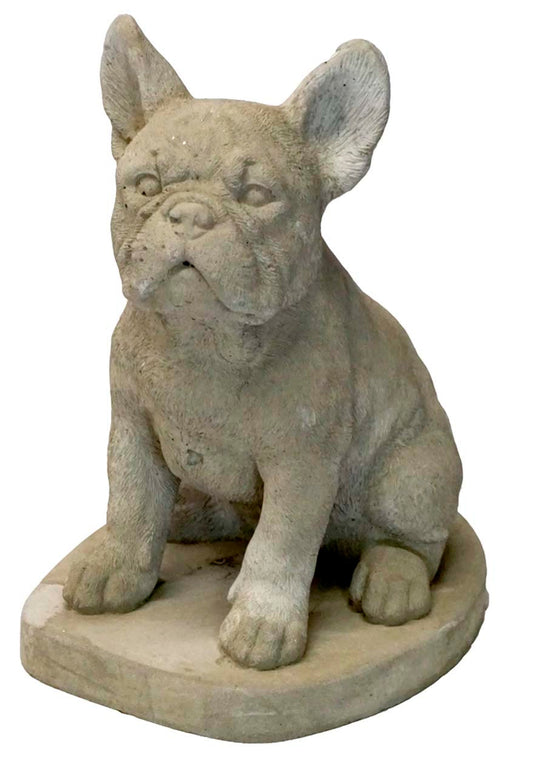 Frenchie