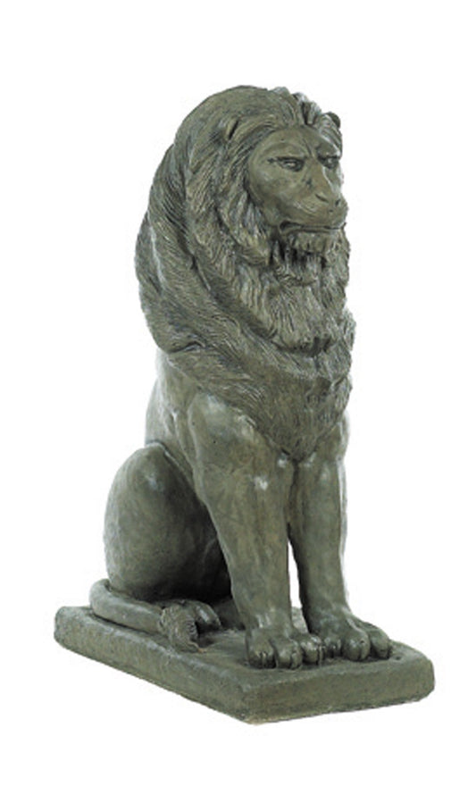 Lion - Majestic