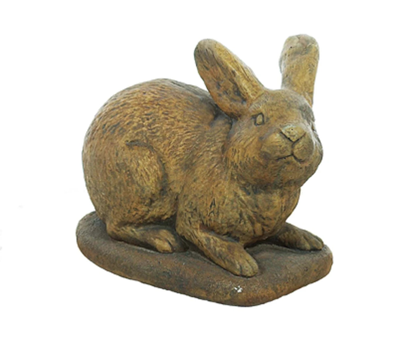 Rabbit Looking Right
