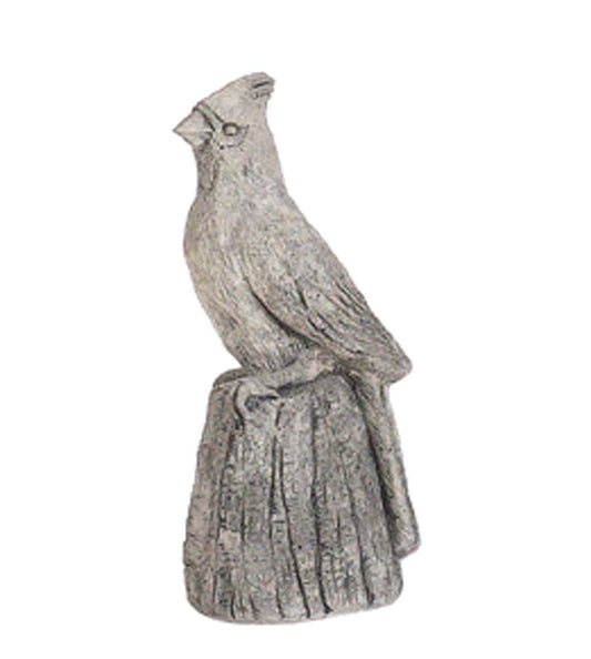 Bird - Cardinal on Stump